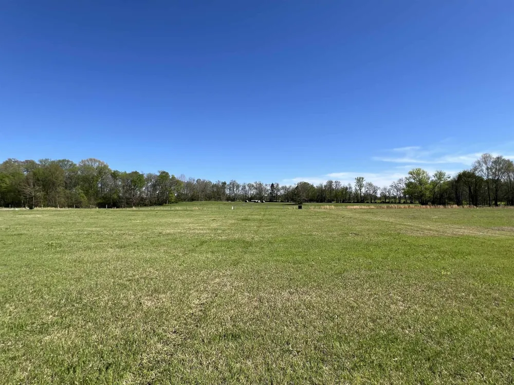 6 CADEN CV Savannah, TN 38372