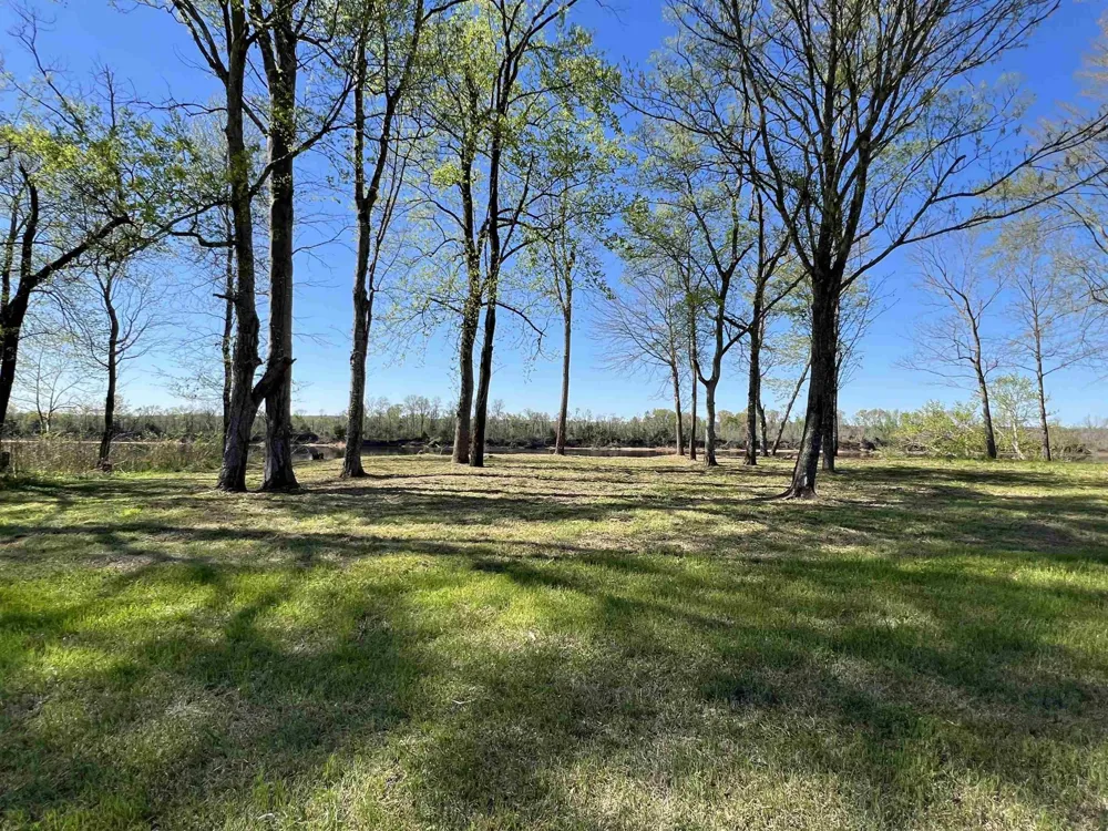 6 CADEN CV Savannah, TN 38372