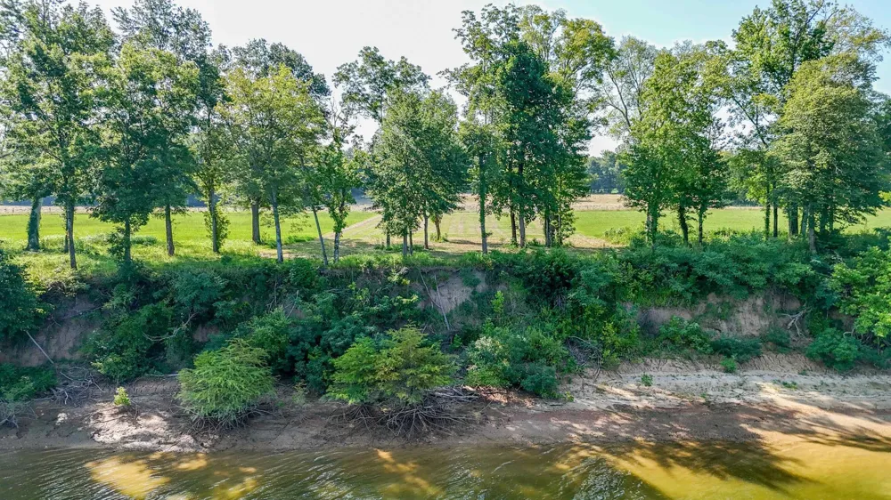 6 CADEN CV Savannah, TN 38372
