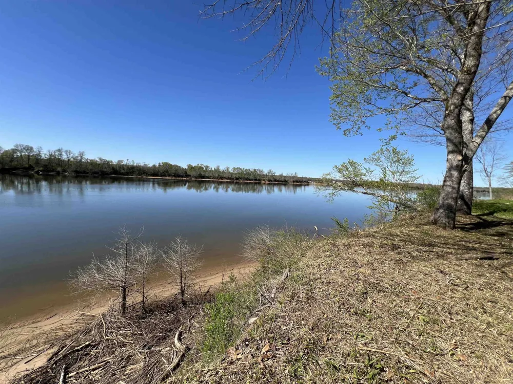 6 CADEN CV Savannah, TN 38372