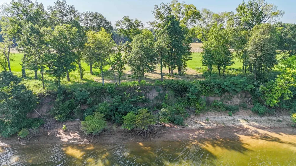 6 CADEN CV Savannah, TN 38372