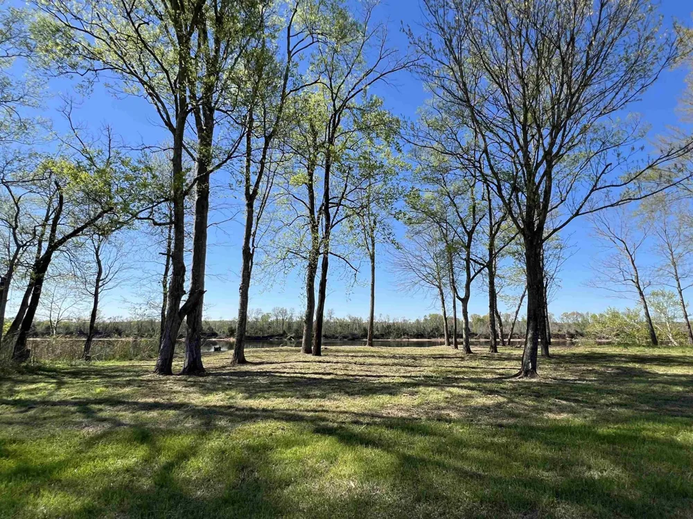 6 CADEN CV Savannah, TN 38372