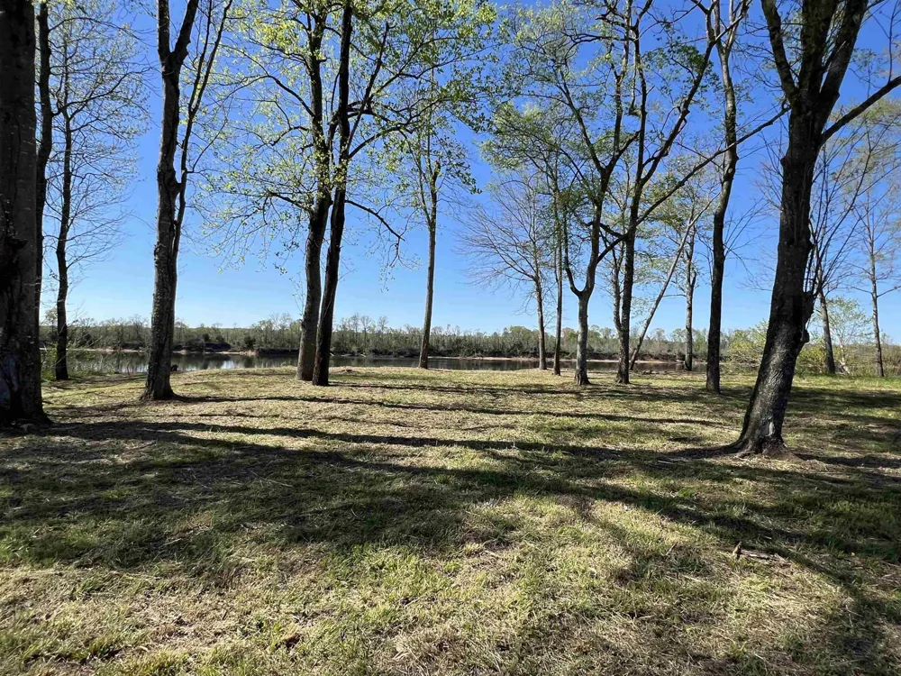 6 CADEN CV Savannah, TN 38372