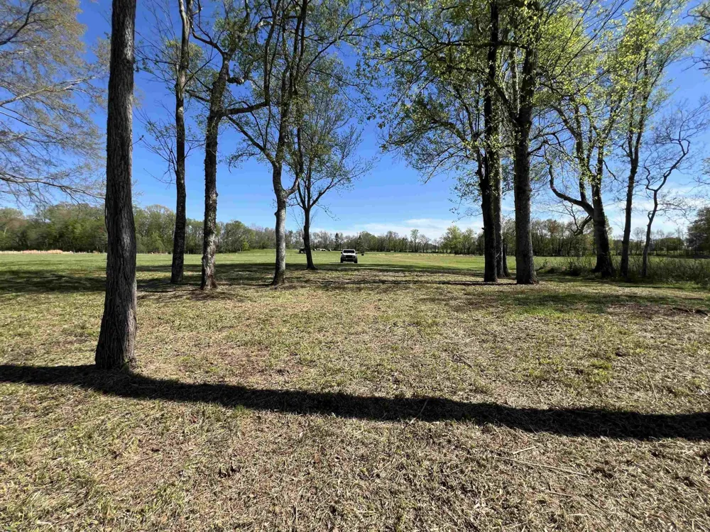 6 CADEN CV Savannah, TN 38372