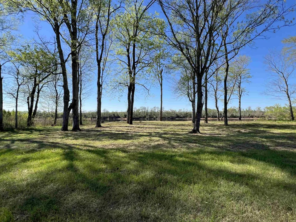 6 CADEN CV Savannah, TN 38372