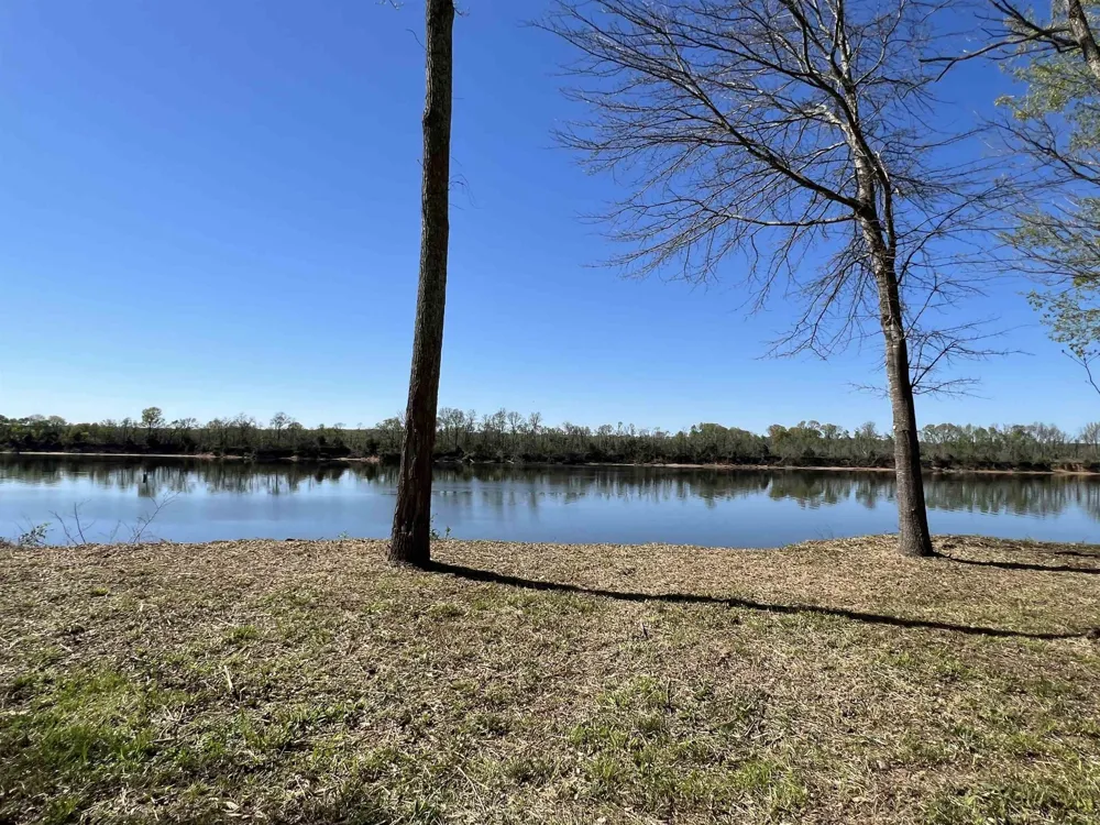 6 CADEN CV Savannah, TN 38372