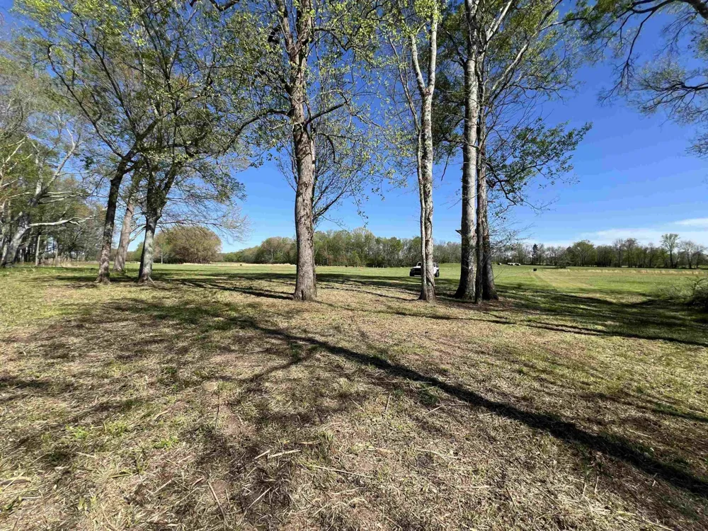 6 CADEN CV Savannah, TN 38372