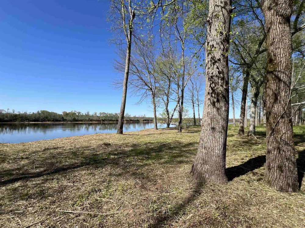 6 CADEN CV Savannah, TN 38372