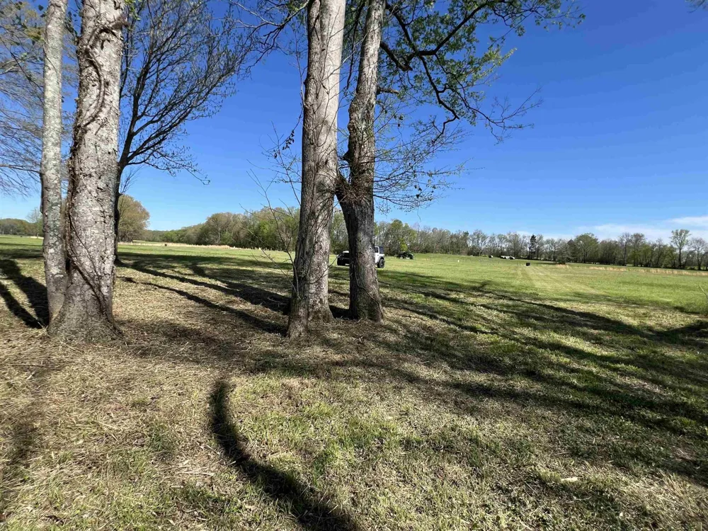 6 CADEN CV Savannah, TN 38372