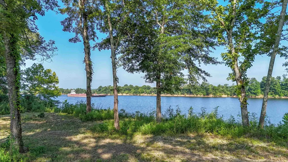 6 CADEN CV Savannah, TN 38372