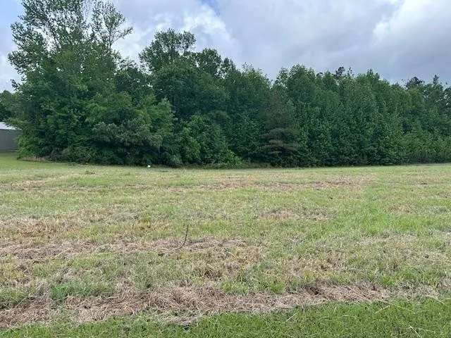 0 PEAR BLOSSOM LN Adamsville, TN 38310