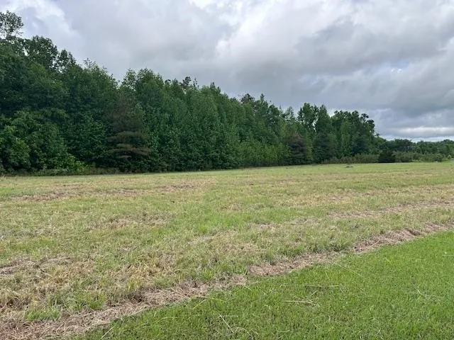 0 PEAR BLOSSOM LN Adamsville, TN 38310
