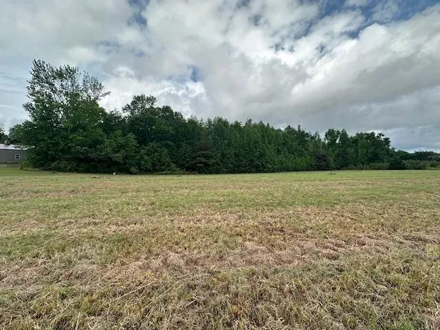 0 PEAR BLOSSOM LN Adamsville, TN 38310