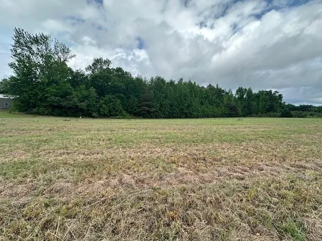 0 PEAR BLOSSOM LN Adamsville, TN 38310