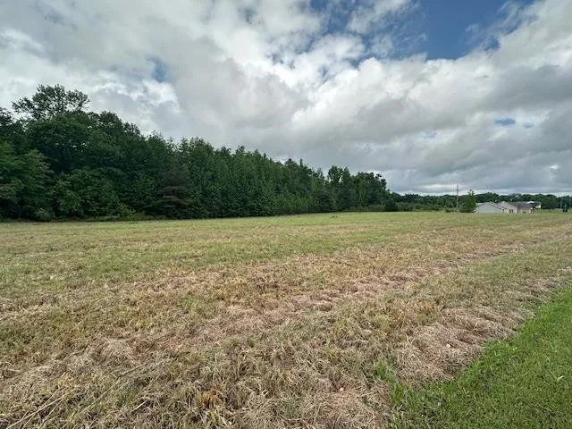 0 PEAR BLOSSOM LN Adamsville, TN 38310