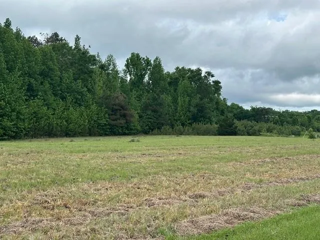 0 PEAR BLOSSOM LN Adamsville, TN 38310