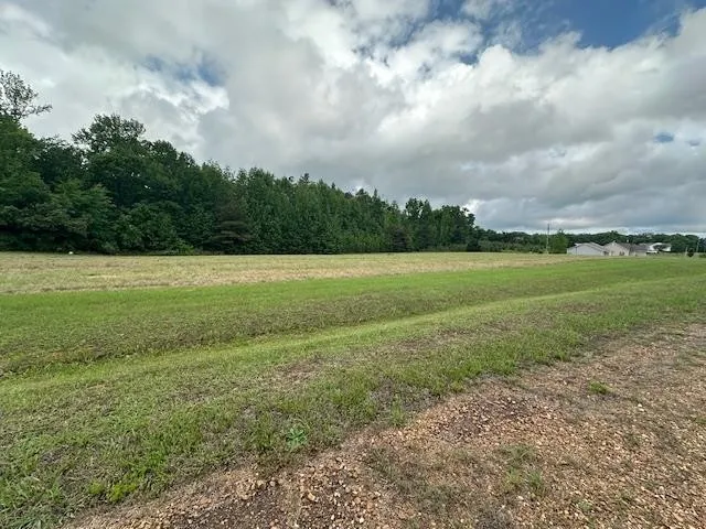 0 PEAR BLOSSOM LN Adamsville, TN 38310