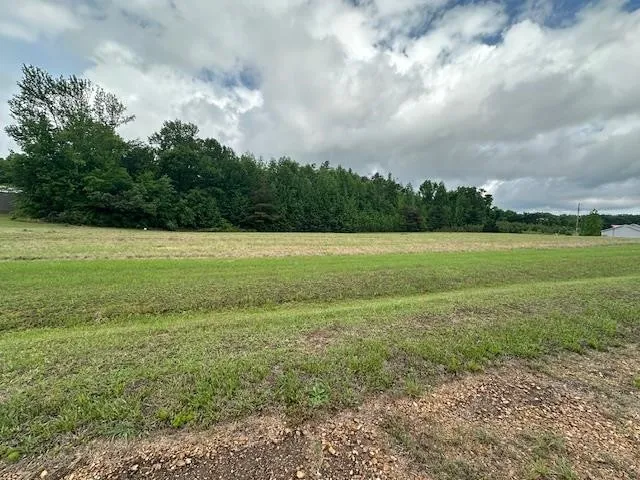 0 PEAR BLOSSOM LN Adamsville, TN 38310