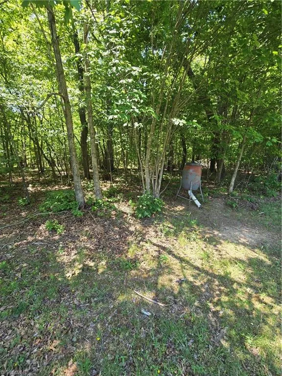 5022 Mt Hermon Rock Creek Road Snow Camp, NC 27349