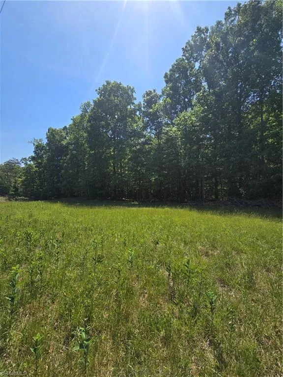 5022 Mt Hermon Rock Creek Road Snow Camp, NC 27349