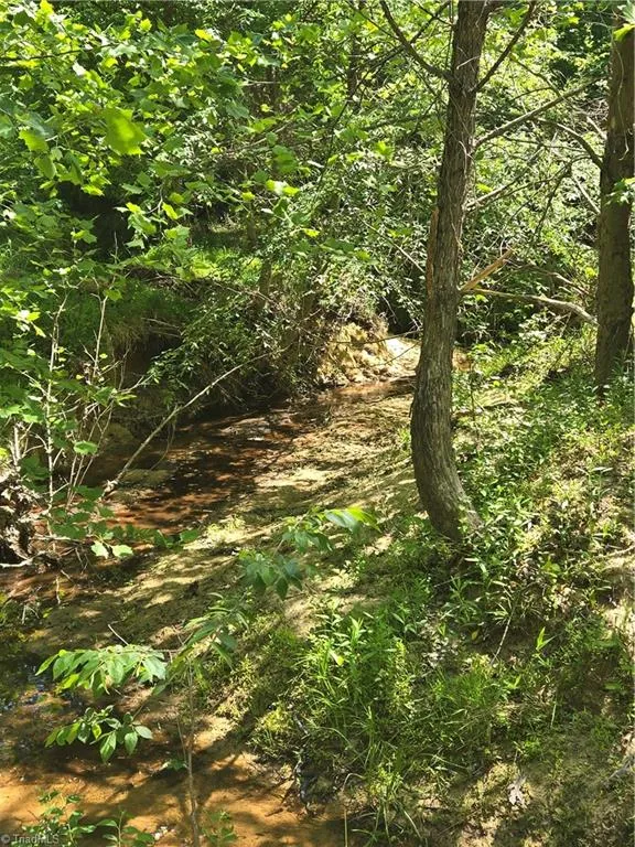 5022 Mt Hermon Rock Creek Road Snow Camp, NC 27349