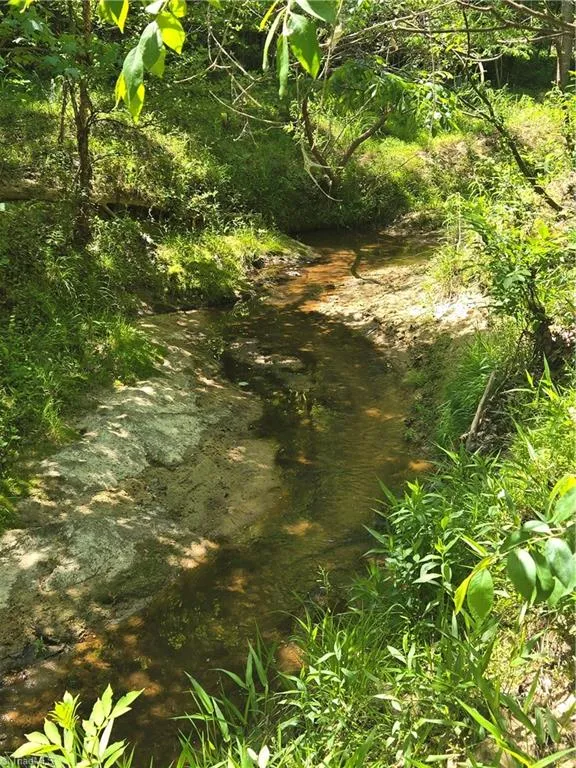 5022 Mt Hermon Rock Creek Road Snow Camp, NC 27349