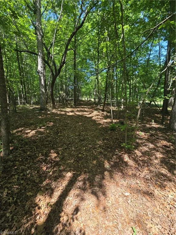 5022 Mt Hermon Rock Creek Road Snow Camp, NC 27349