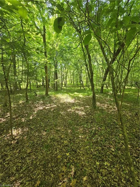 5022 Mt Hermon Rock Creek Road Snow Camp, NC 27349