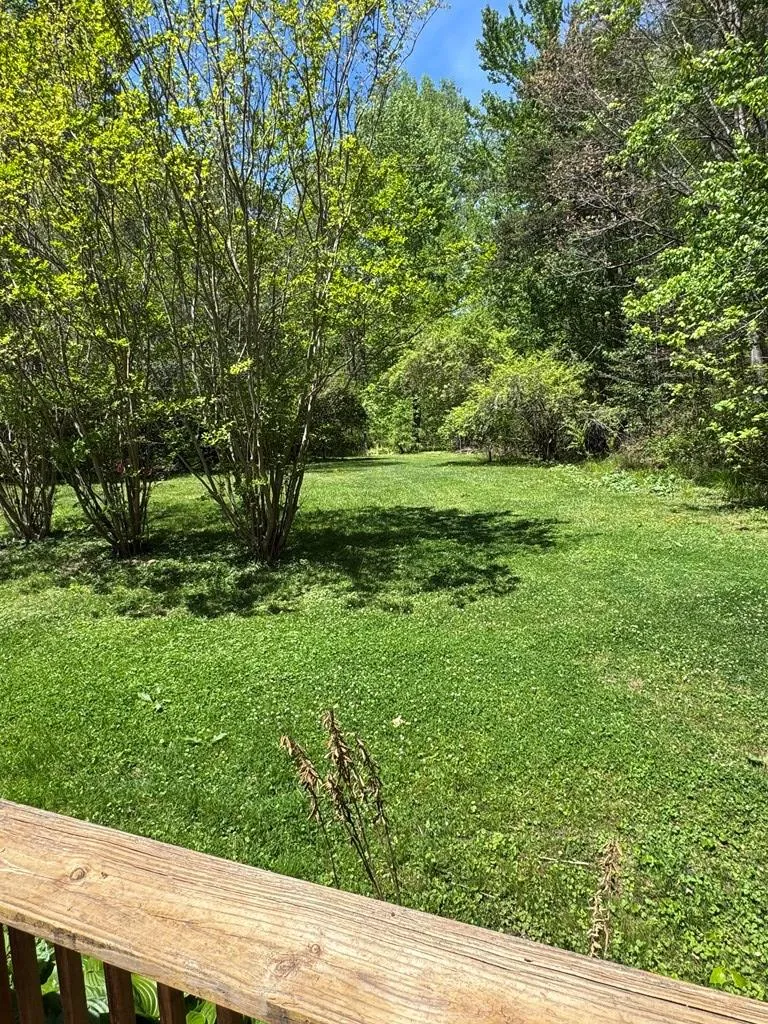 Cooper Farm Road Whittier, NC 28789