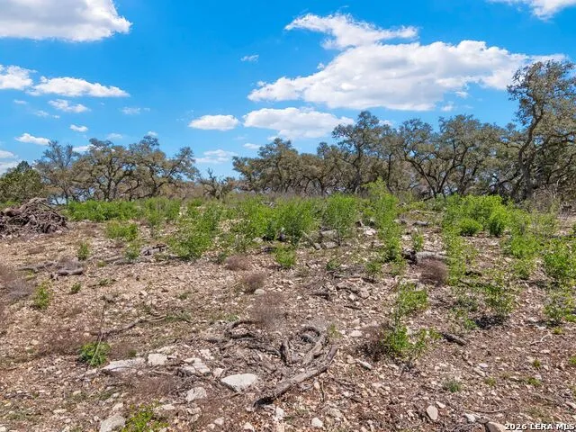 189 Table Rock Helotes, TX 78023