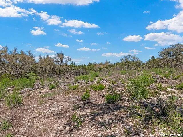 189 Table Rock Helotes, TX 78023