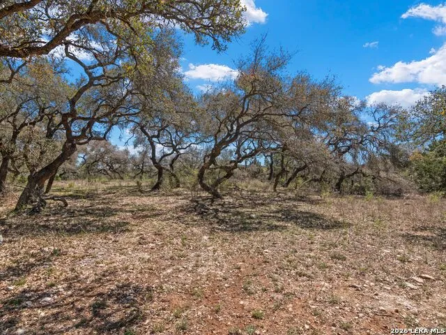 189 Table Rock Helotes, TX 78023