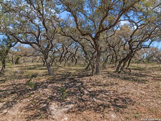 189 Table Rock Helotes, TX 78023
