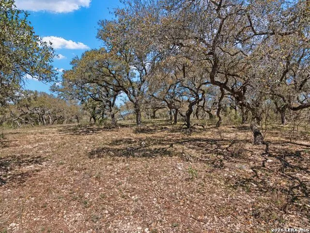 189 Table Rock Helotes, TX 78023