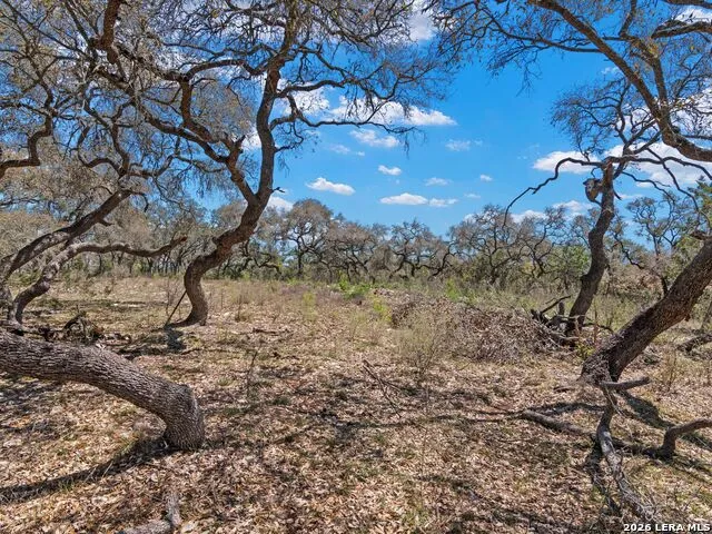 189 Table Rock Helotes, TX 78023