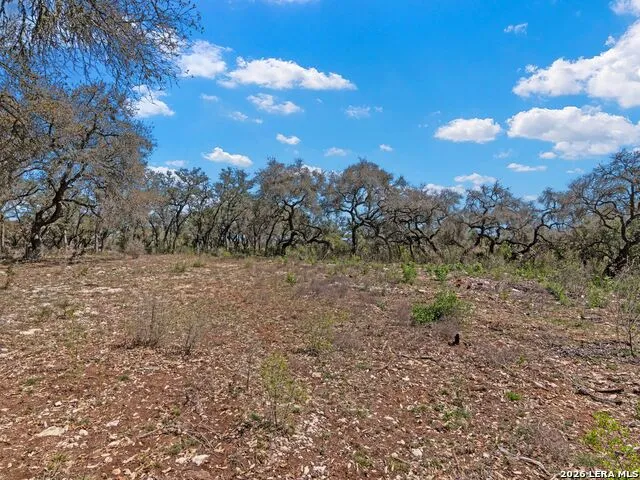 189 Table Rock Helotes, TX 78023