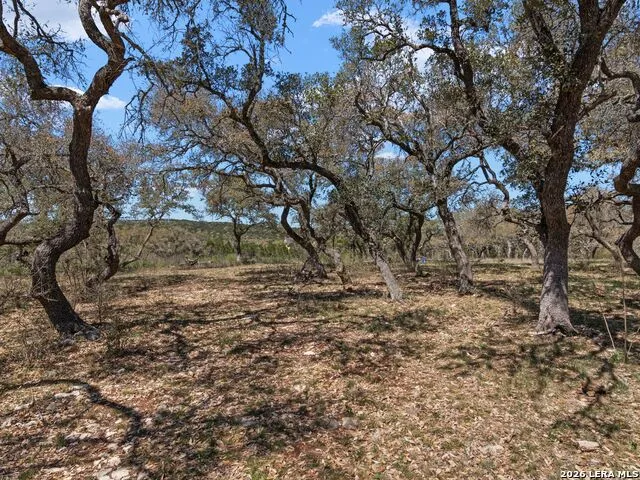 189 Table Rock Helotes, TX 78023