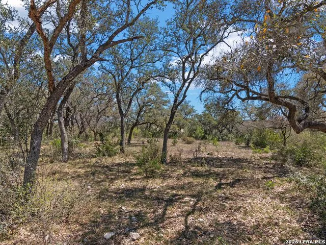 189 Table Rock Helotes, TX 78023