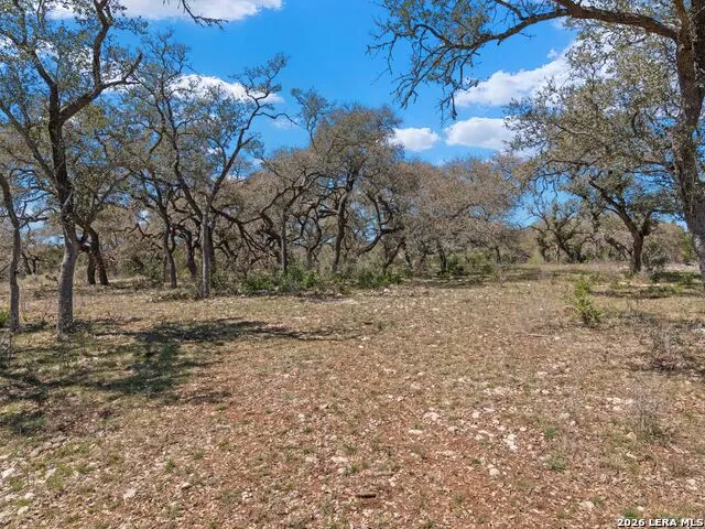 189 Table Rock Helotes, TX 78023