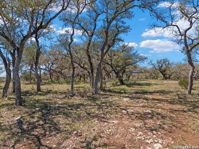 189 Table Rock Helotes, TX 78023
