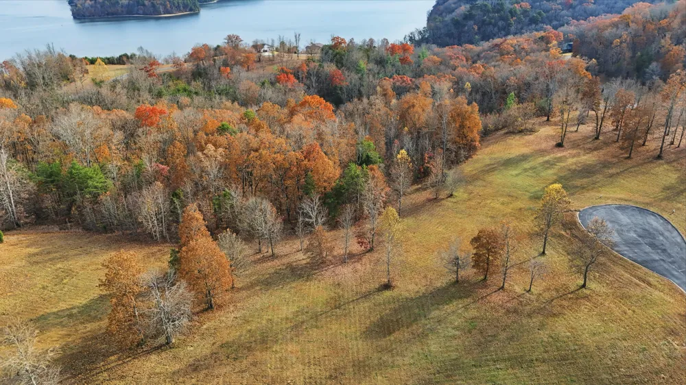 145 Quail Hollow Cove Spring City, TN 37381
