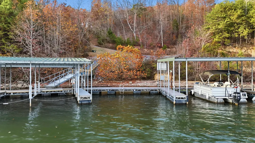 145 Quail Hollow Cove Spring City, TN 37381