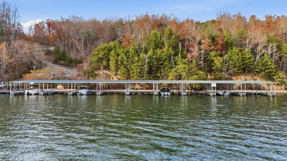 145 Quail Hollow Cove Spring City, TN 37381
