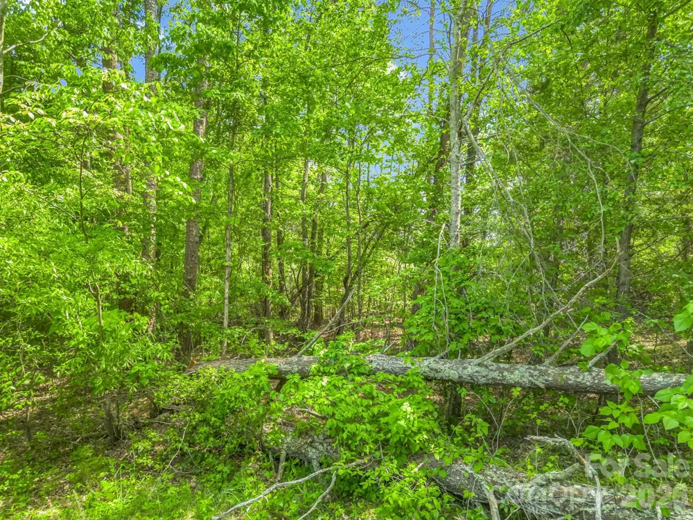 00 Smith Grove Road Forest City, NC 28043
