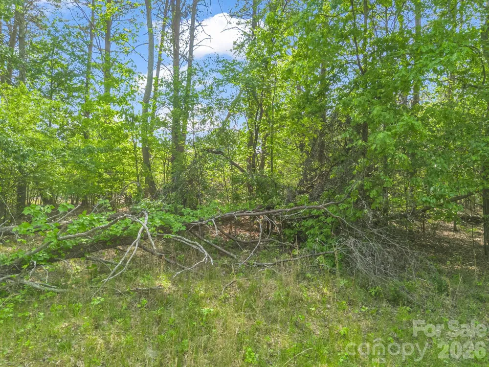 00 Smith Grove Road Forest City, NC 28043