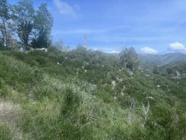 10 Long Ridge, Palo Colorado Road Carmel, CA 93923