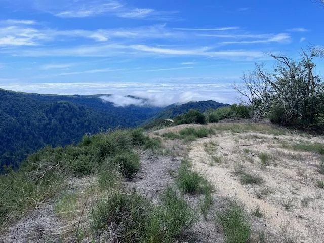10 Long Ridge, Palo Colorado Road Carmel, CA 93923