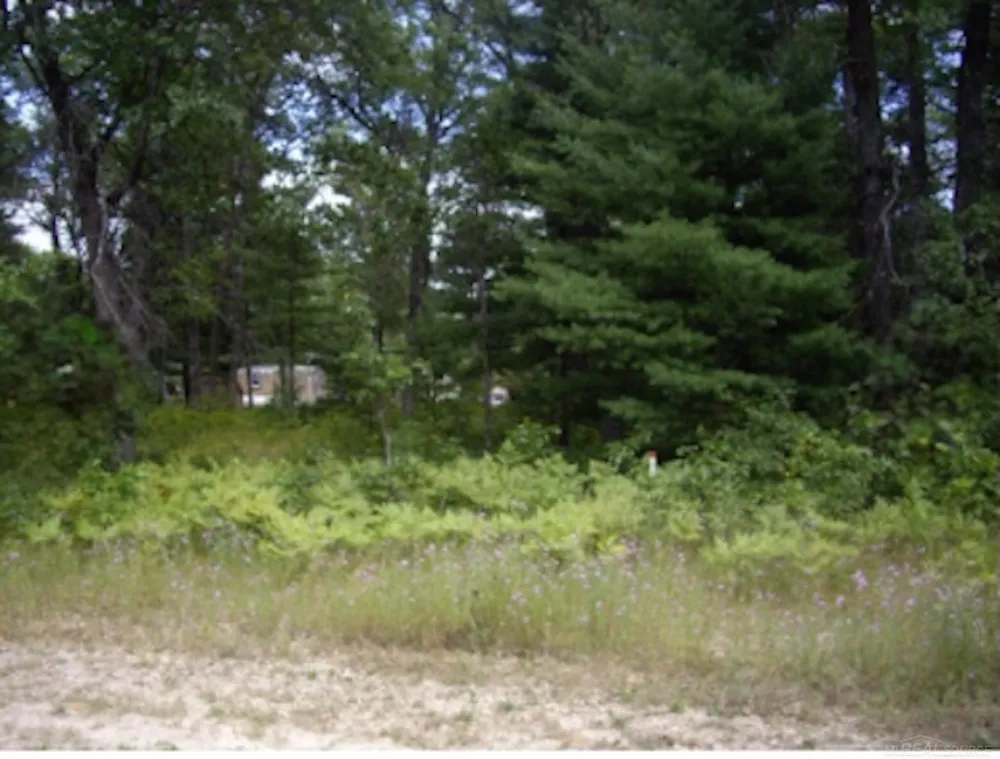 Pinecone Court Unknown, MI 48651