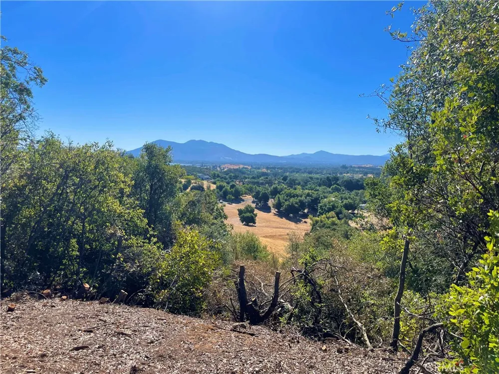 1985 Bastian Court Lakeport, CA 95453