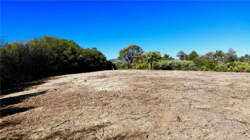 1985 Bastian Court Lakeport, CA 95453
